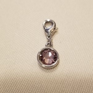 Touchstone Crystal by Swarovski Charm